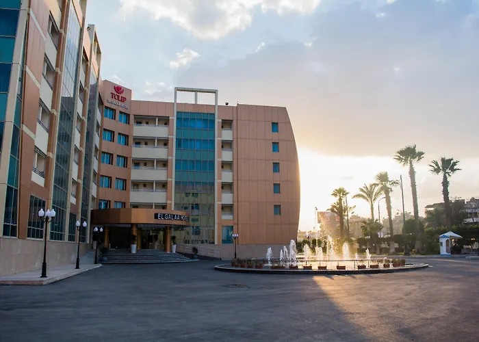 توليب الجلاء القاهرة
